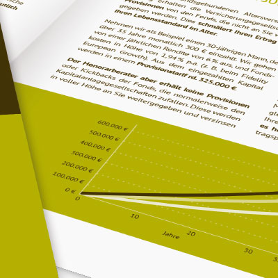 Corporate brochure for a financial consultancy