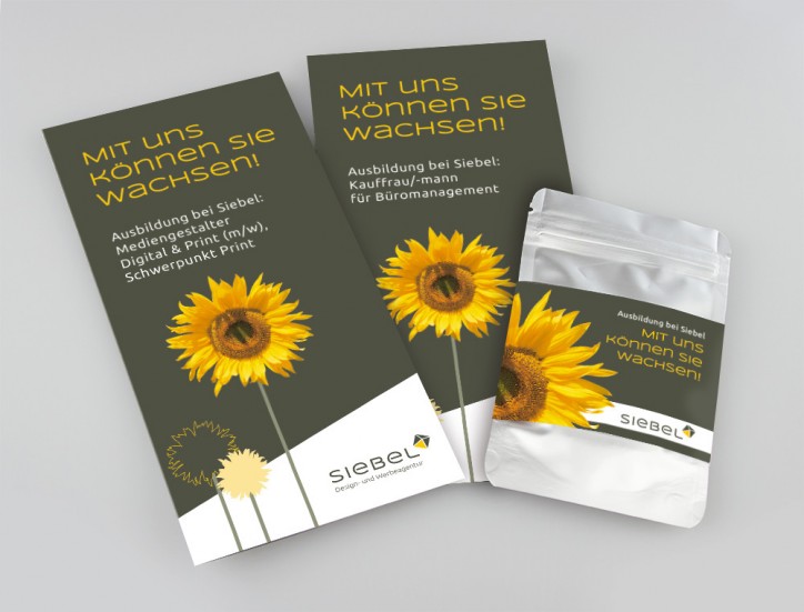 Berufsbezogene Flyer, die eine Plant-Tab und Sonnenblumensamen enthalten