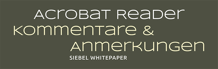 Whitepaper zum Thema Adobe Reader